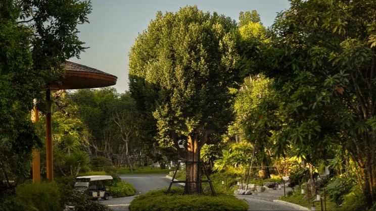 Anantara Koh Yao Yai Resort & Villas